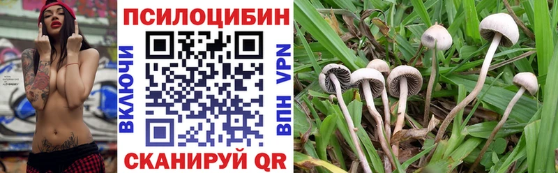 Купить закладки  Игарка  Галлюциногенные грибы Magic Shrooms 